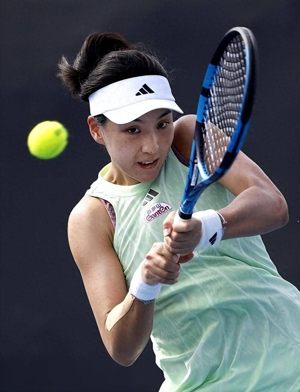 其他欧陆豪 其他欧陆豪